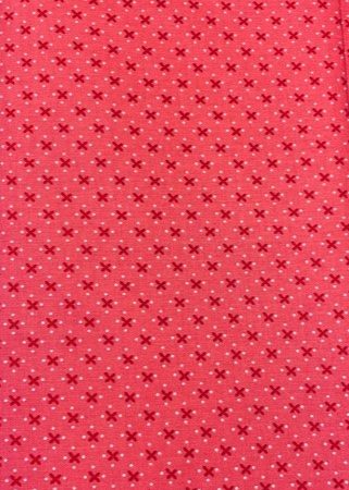 Riley Blake- Granny Chic Pink- 5