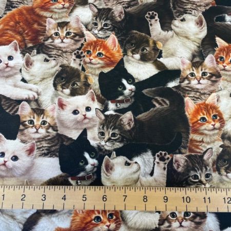 Quilting Treasures - Literary Kitties - Cats