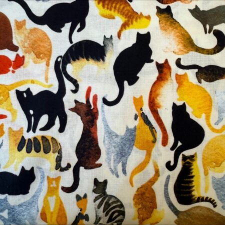 Cats On Cream