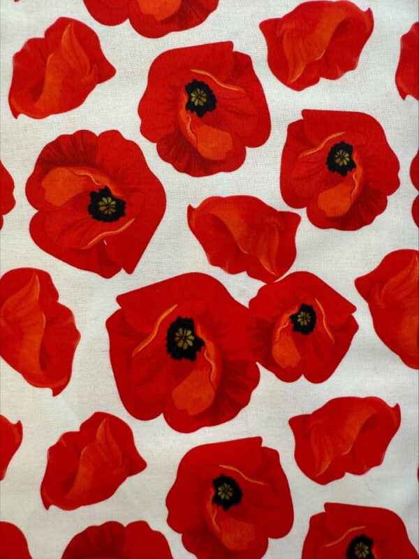 Poppies on white