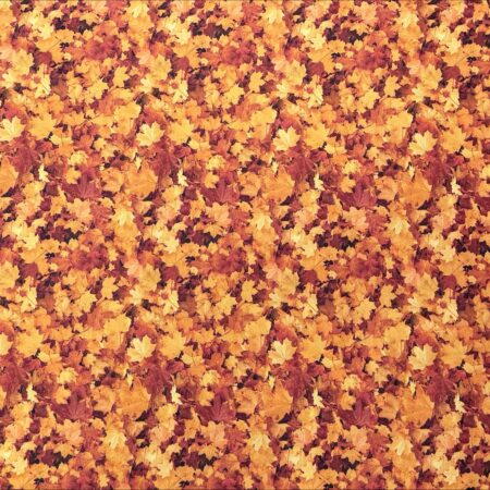Autumn Leaves