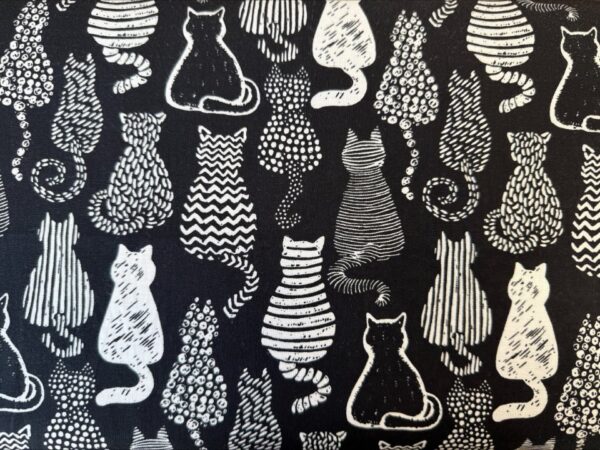 Cats Black