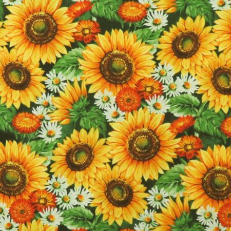 Sunshine Harvest - Sunflower