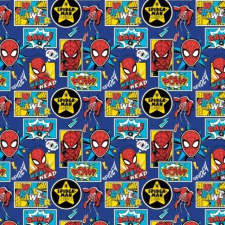 Spiderman - Outside The Box