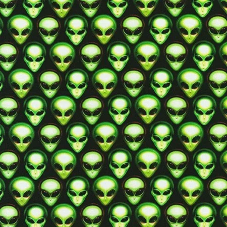 Robert Kaufman - Area 51 - Alien Faces