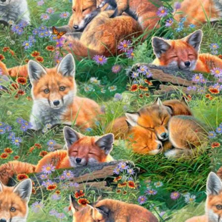 3 Wishes - Sleepy Foxes