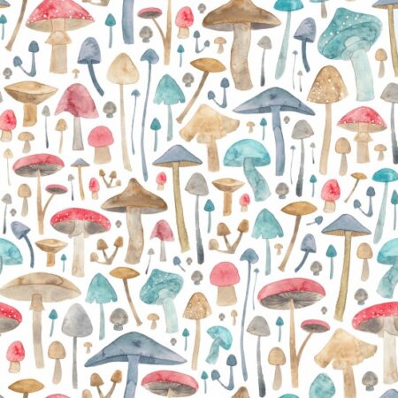 Fairytale by Elena O'Neill Toadstools